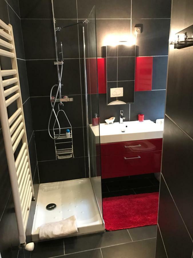 Apartament La Perle De La Vieille Ville D'Annecy Zewnętrze zdjęcie